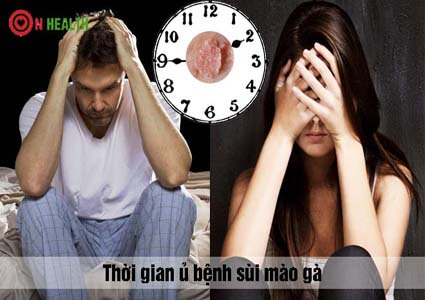 Biểu hiện của thời gian ủ bệnh sùi mào gà và dấu hiệu nhận biết
