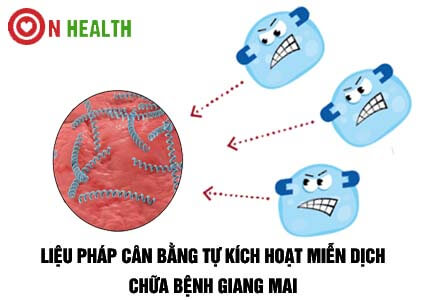 Liệu pháp cân bằng tự kích hoạt miễn dịch chữa bệnh giang mai