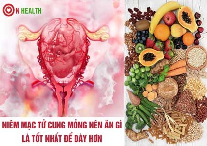 Niêm mạc tử cung mỏng nên ăn gì là tốt nhất để dày hơn?