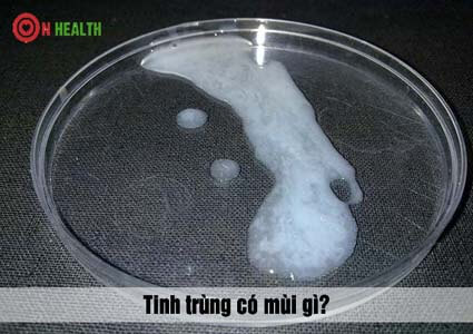 Tại sao tinh dịch chứa tinh trùng có mùi hôi khó chịu, là bệnh gì?