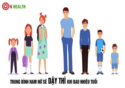 Trung bình nam nữ sẽ Dậy Thì khi bao nhiêu tuổi, có thay đổi gì?