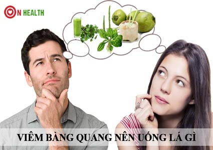 Viêm bàng quang nên uống nước gì, chữa bằng thuốc nam được không