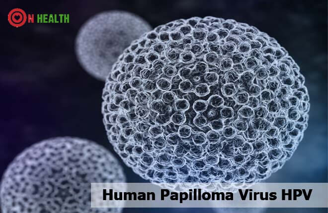 papillomavirus wat is dat